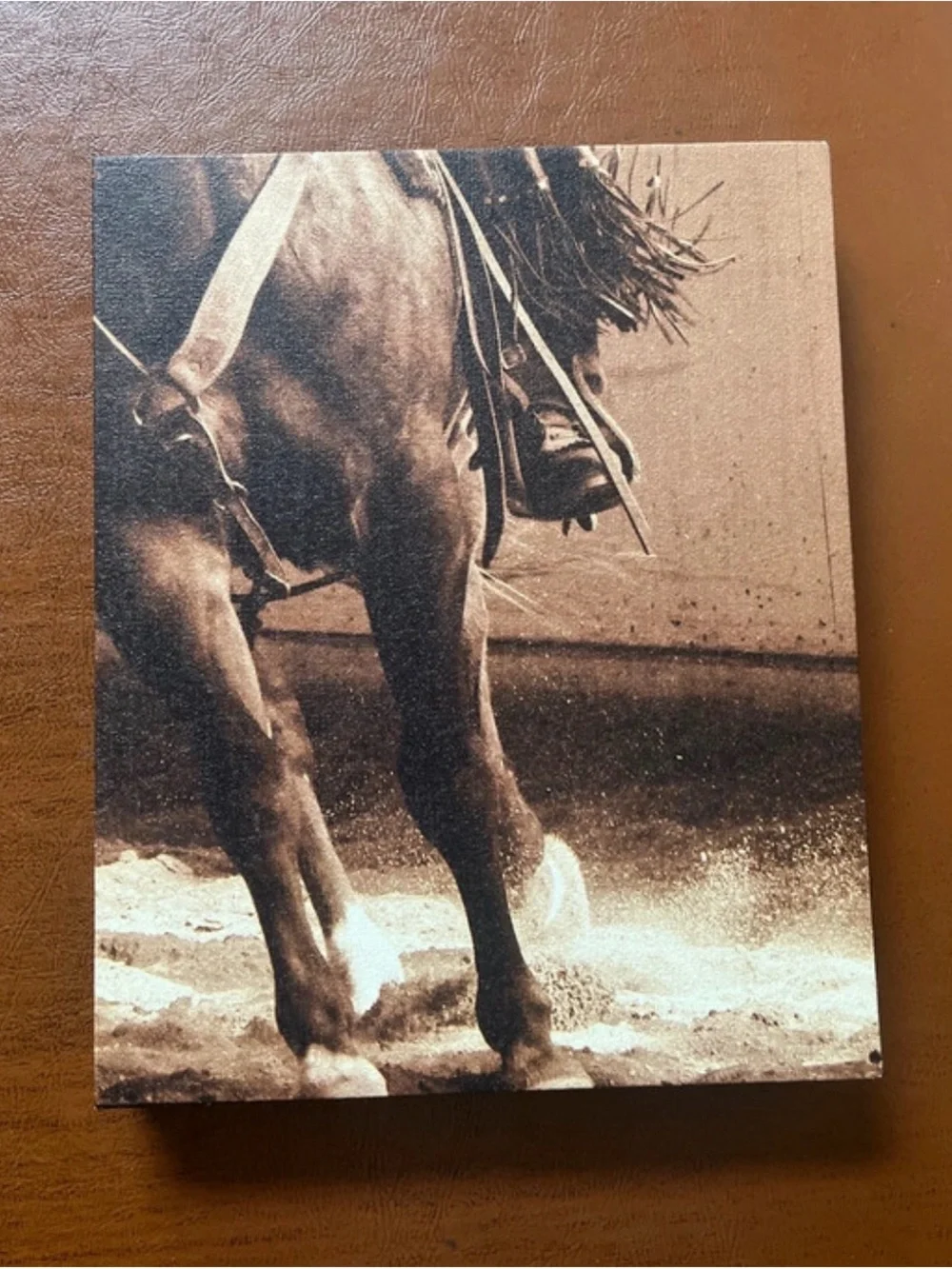 Western Horse Canvas Wall Art Set - Sepia Tone